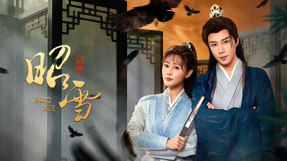 昭雪（2026）电视剧